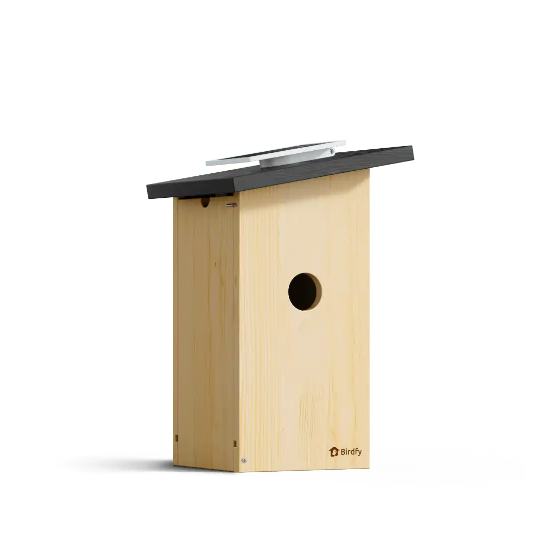 Birdfy Nest Ebony - Wooden Smart Birdhouse