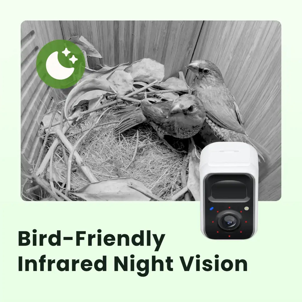 Birdfy Nest Polygon - Smart Birdhouse with Camera, Brown