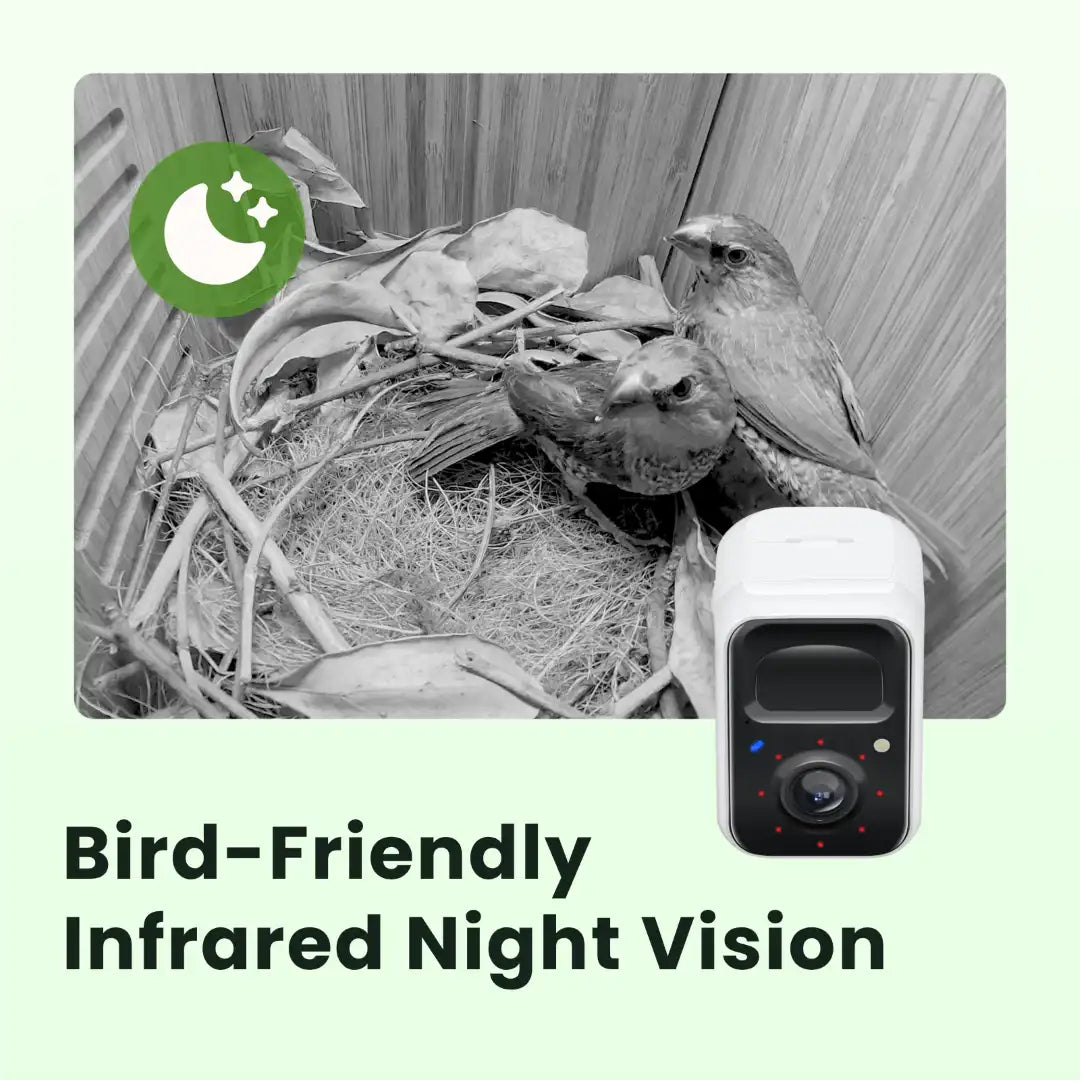 Birdfy Nest Polygon - Smart Birdhouse with Camera, Brown