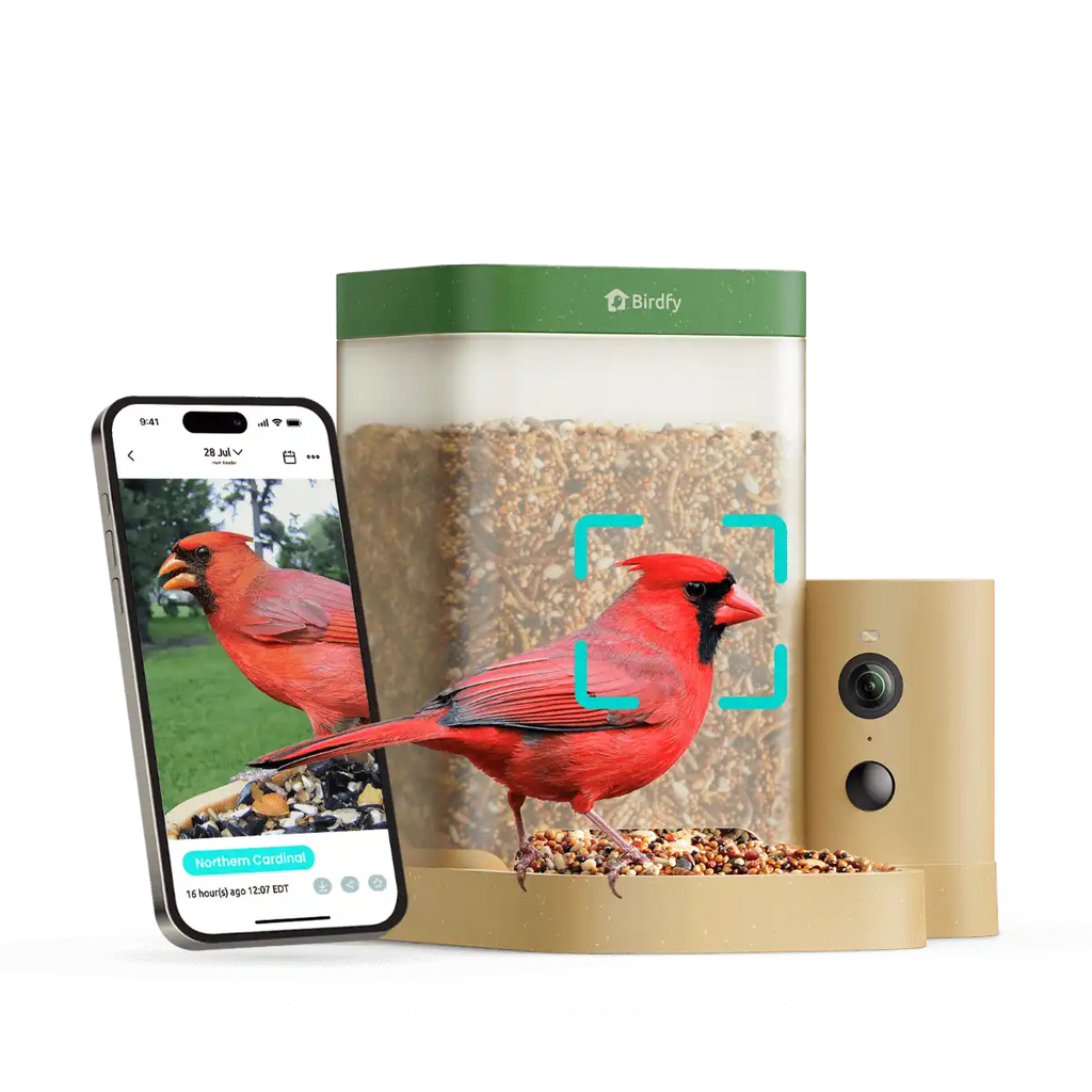Birdfy Feeder Rookie - Beginner-Friendly Smart Bird Feeder Green