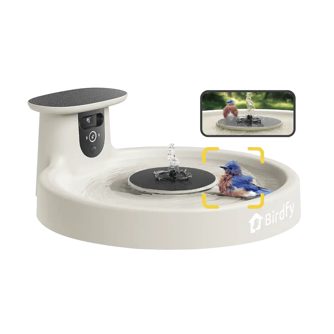 Birdfy Bath Pro White - Solar-Powered Smart Birdbath with Fountain without stand