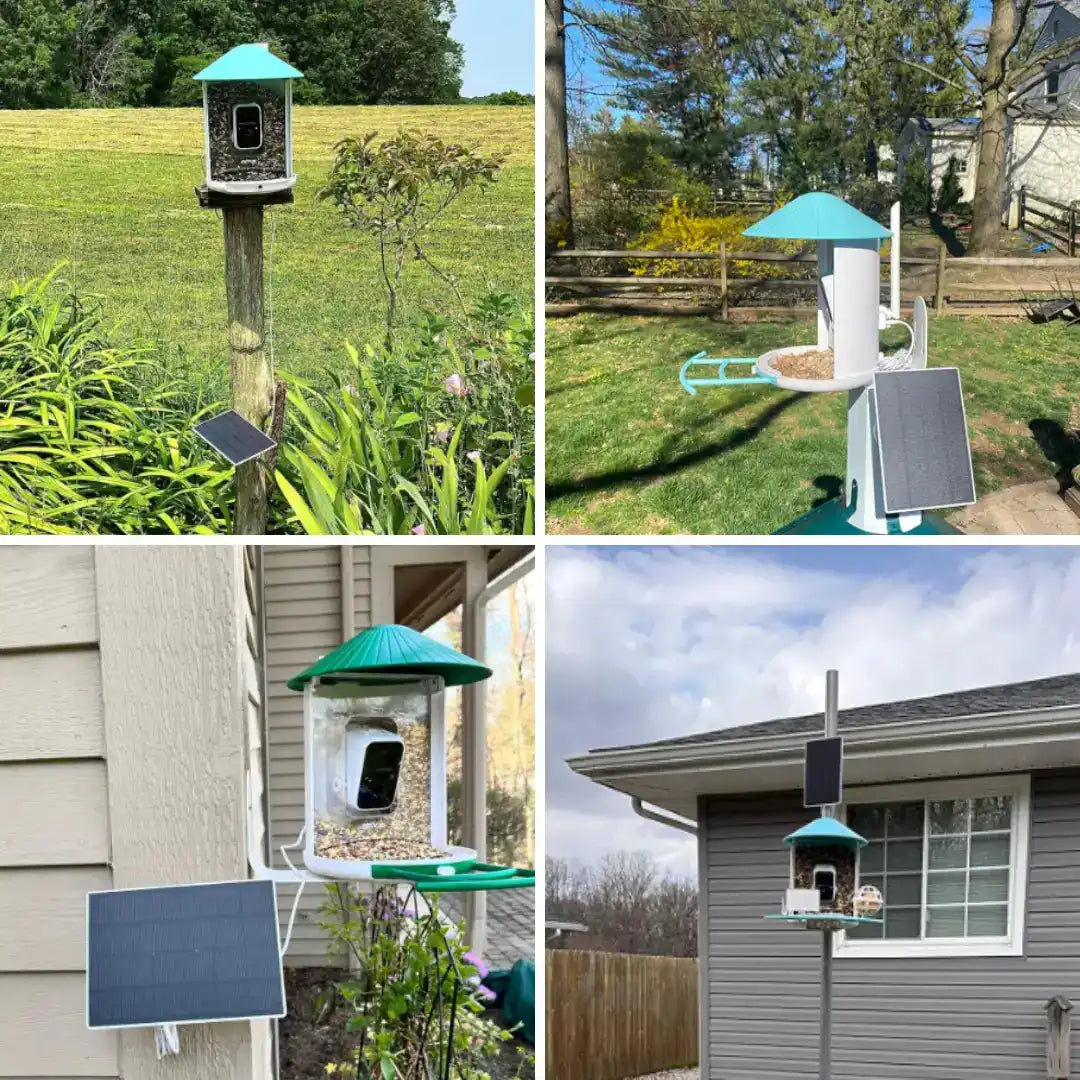 Birdfy Solar Panel (Type C) - Bird Feeder Camera Solar Panel